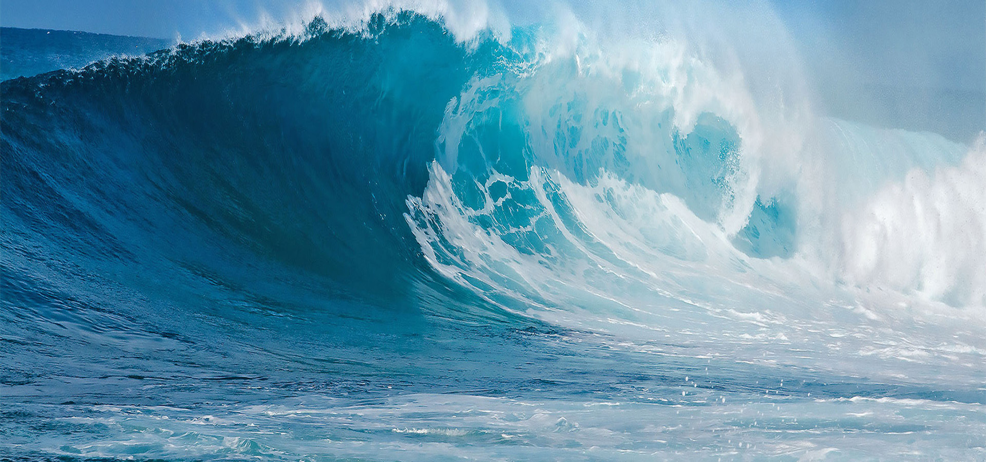 元含万象、万象云顶集团